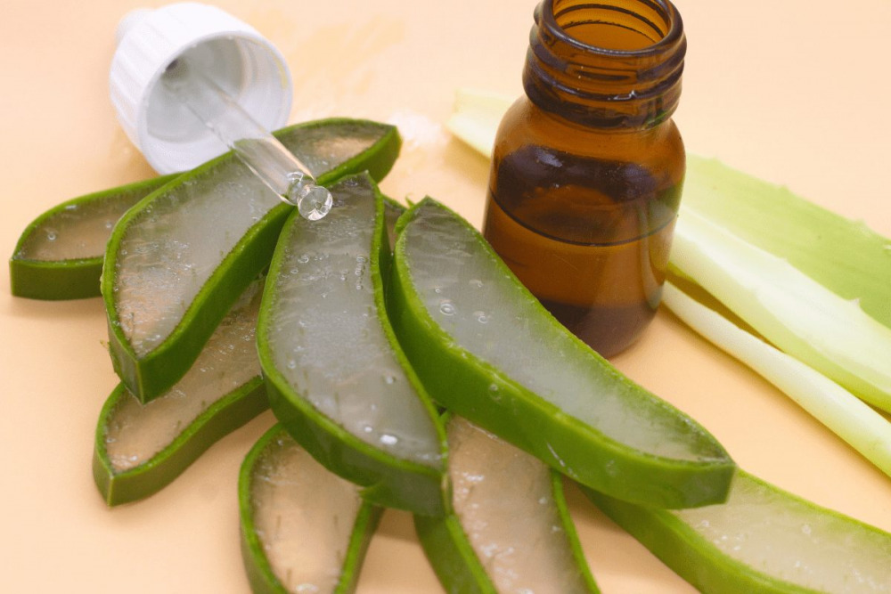 can-aloe-vera-get-rid-of-acne-scars-myeppo