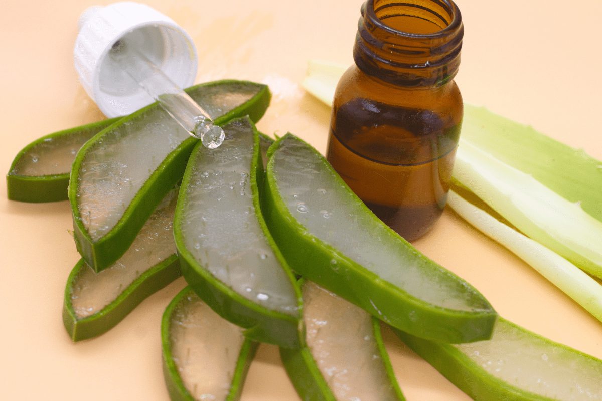 Can Aloe Vera Get Rid Of Acne Scars Myeppo 