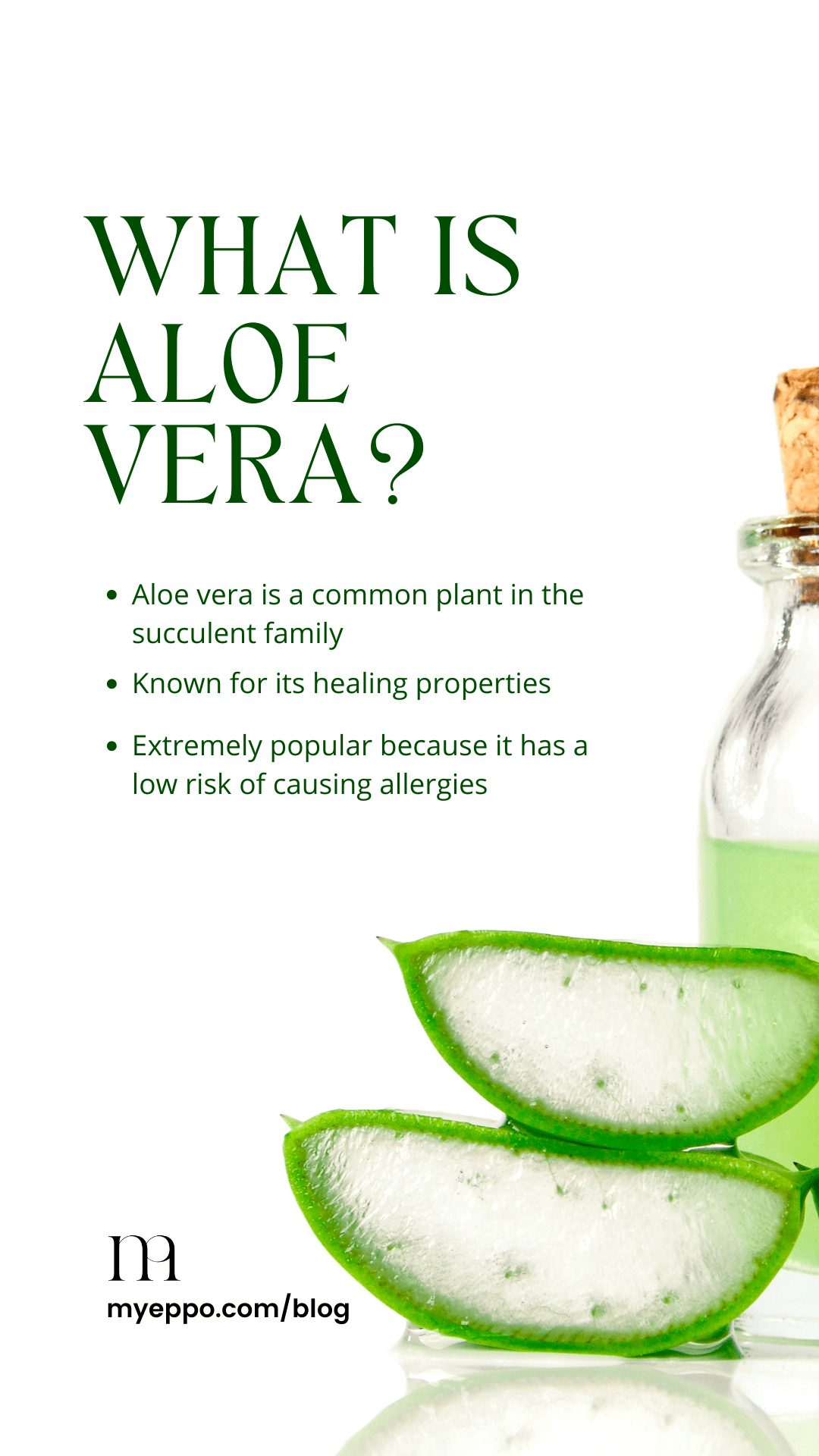 podning Blive gift Outlook Can Aloe Vera Get Rid Of Acne Scars? | myeppo.